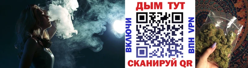 Бошки Шишки планчик  Камбарка 
